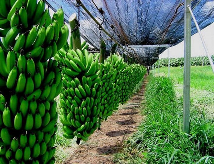 inn  mImage Description